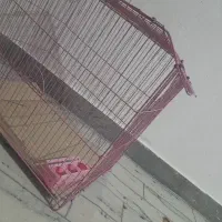 قفس بزرگ