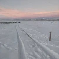 دشت اجاره‌ای برا دام