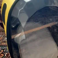 کیف پرنده