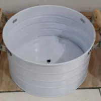گلدان|گل و گیاه طبیعی|فردیس, شهرک شهید حسینی|دیوار