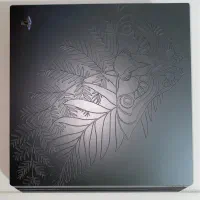 ps4 pro Limited Edition The Last of Us Part II