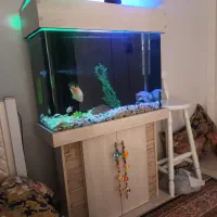 فروش شیشه خم شرکتی کمدداروتاج دار