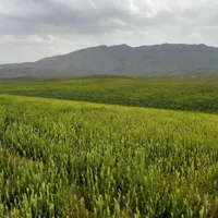 ۱۰۰۰ متر زمین محدوه سد نمرود دشت چزکین|فروش زمین و ملک کلنگی|تهران, دانشگاه علم و صنعت|دیوار