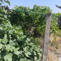 خانه روستایی چهاردیواری ۱۶۰متر گلمان