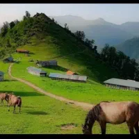 یک هم مسیر کرج به چالوس