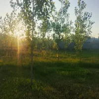فروش-زمین