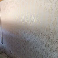 کارزیبا بانقاشان حرفه ای