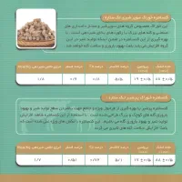 استخدام کارشناس و حسابداری