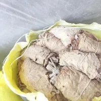 گل زرد