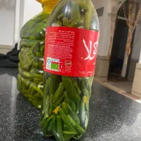 خیارشور خانگی