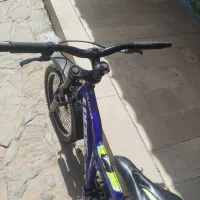 دوچرخه تایوانی اصل