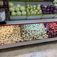 کارگر ماهر میوه فروشی