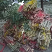 خورده چوب