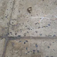 انگشتر گردنبند