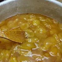 مربا زردالو
