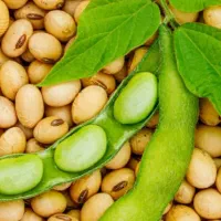 سویا