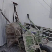 فرغون ضخیم سالم۲عدد
