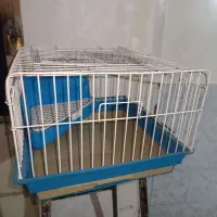 قفس