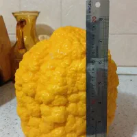 بالنگ جنوب(جهرم)