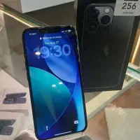 IPhone 13 pro|موبایل|یزد, |دیوار