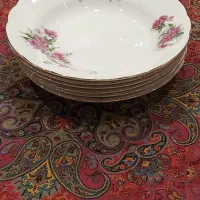 بشقاب گلسرخی گود۲۳وکاسه ماست