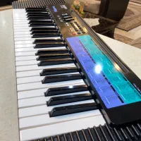 ارگ کاسیو CASIO CA100