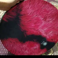 دف هور