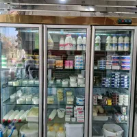 یخچال سه در تمام استیل