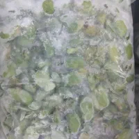 باقالا سبز امسال به شرط پخت