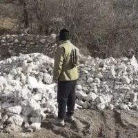 دنبال کار میگردیم