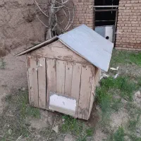 کلبه چوبی سالم سالم