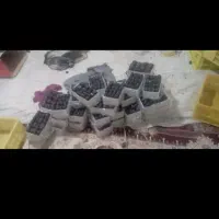 خرما۸۰۰گرمی