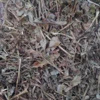 پرس بادام زمینی ۳۵ عدد