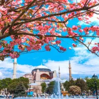 تور کنسرت شادمهر و معین