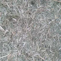 کاه علف