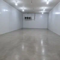 شراکت در تولید قارچ