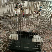 قفس پرنده