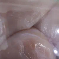 مرغ یخ زده قیمت مناسب