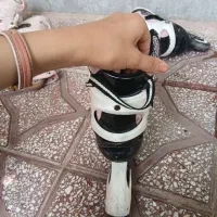 کفش اسکیت