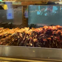 کارگر ساده اقا در رستوران جهت ظرفشوری