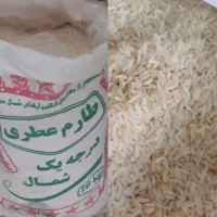 برنج طارم معطر شمال