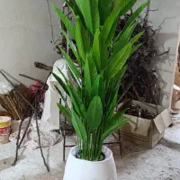 کارخونه