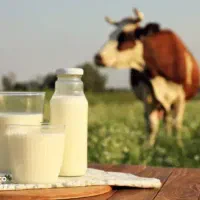 لبنیات تازه روستایی