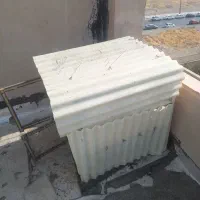 گنجه کفتر با جفت کنی