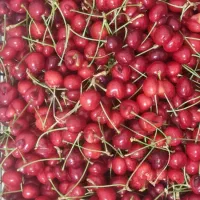 گیلاس درجه ۱ کیلویی ۱۵۰