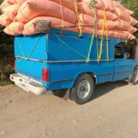کاه نرم دیم درجه یک
