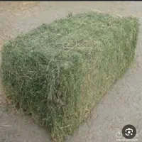 5تن یونجه پرس بدون علف حرز خاک