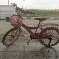 دچرخه دخترانه 20