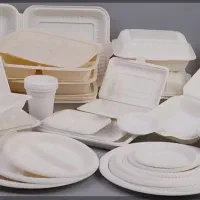 ظروف یکبار مصرف