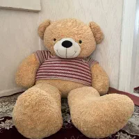 خرس عروسک بزرگ